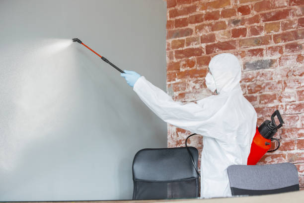 Best Mold-Related Health Consultation  in Porterdale, GA